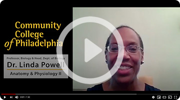 Linda Powell How to Succeed in Online Learning Video Linda Powell How to Succeed in Online Learning Video