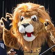 Roary Mascot