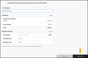 Verify Amount Screen