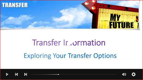 Exploring Your Transfer Options