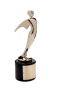 Telly Award