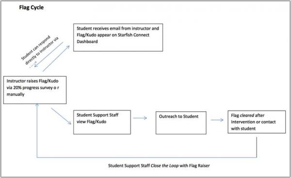 Flag cycle flow chart