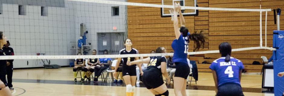 Students playing volleyball in gym at Community College of Philadelphia. women playing volleyball