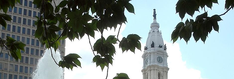 City Hall Bordered By Leaves WAAT