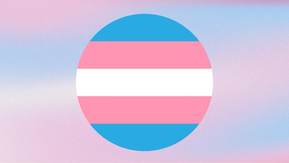 transgender flag