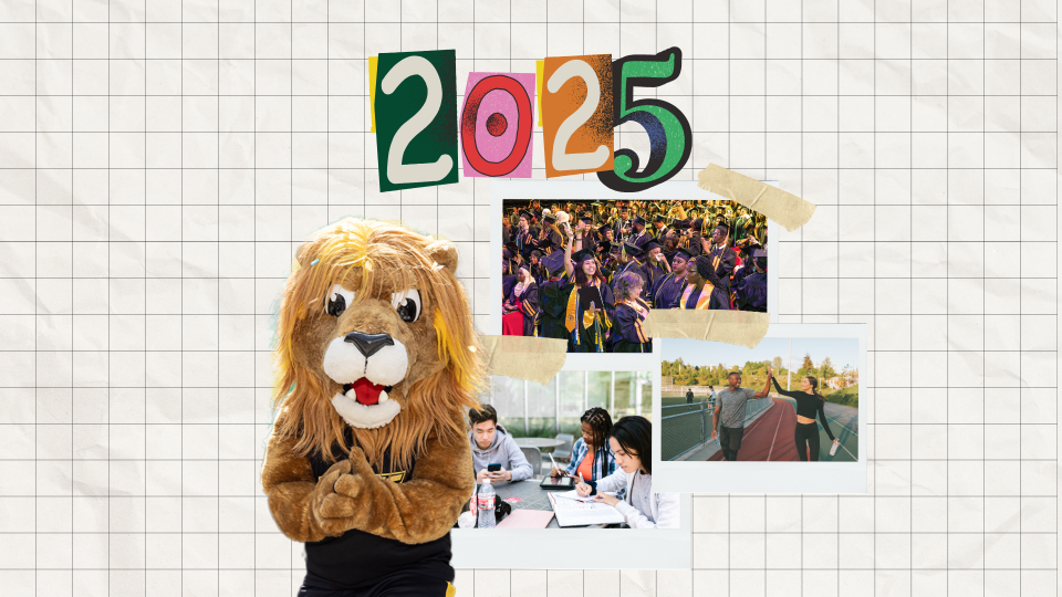 Roary on a vision board